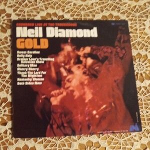 Gold Vinyl Record - Black and Orange